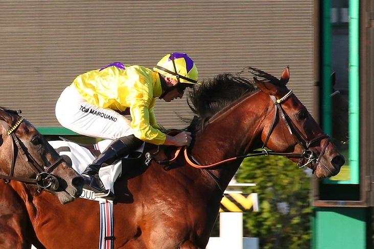 My Prospero s'impose dans le Prix Eugène Adam (Gr2), le 16 juillet 2022 sur l'hippodrome de Saint-Cloud