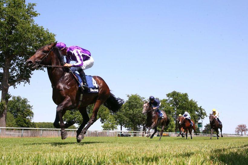 Blackbeard gagne le darley prix robert papin 2022 sur l'hippodrome de chantilly