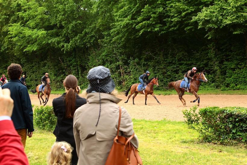 entraînement à chantilly