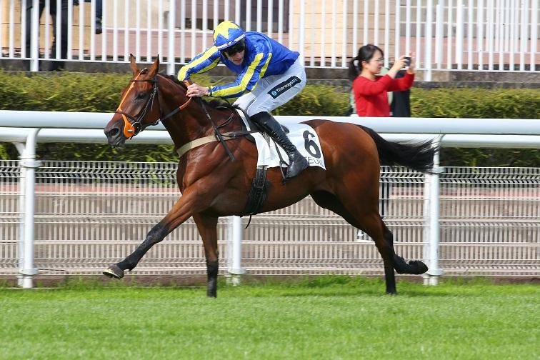 St Donats file vers son premier Groupe