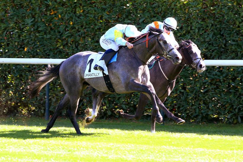 Criterium maisons-laffitte 22 charyn