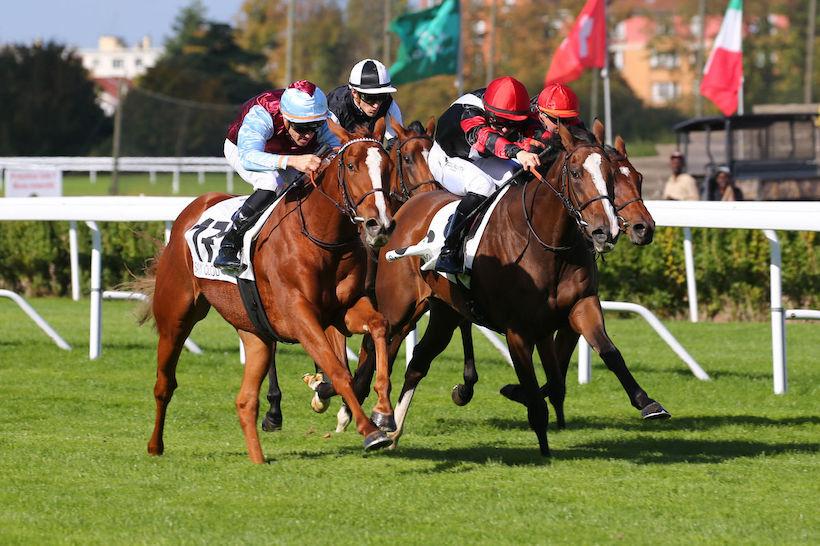 221006 Autumn Starlight