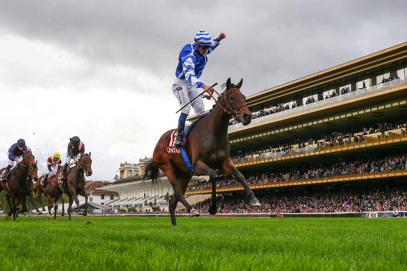 Boussac 22 Blue Rose Cen