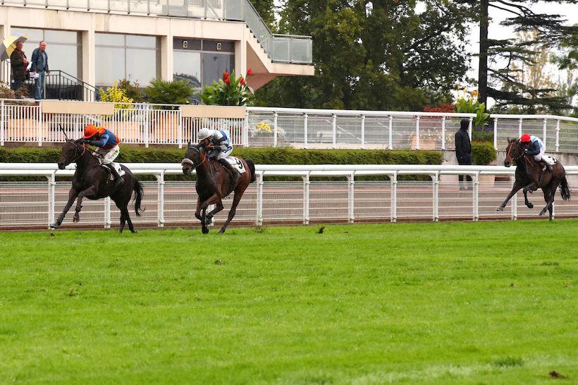 Chambly 22 Dreammy Bell