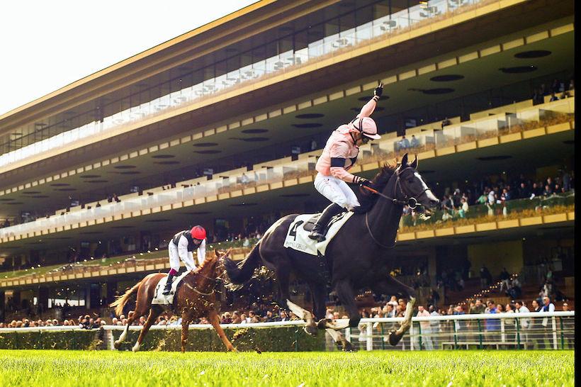 Royal-Oak 22 Iresine