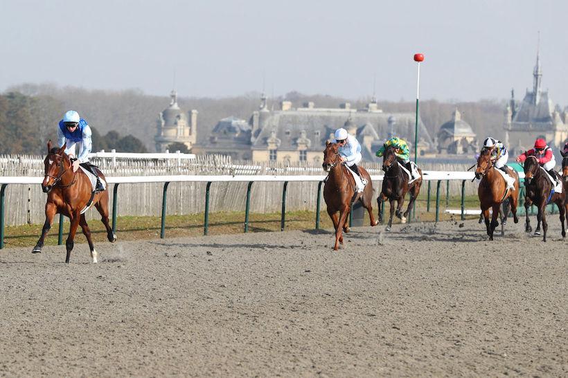 Pensée du Jour Maiden