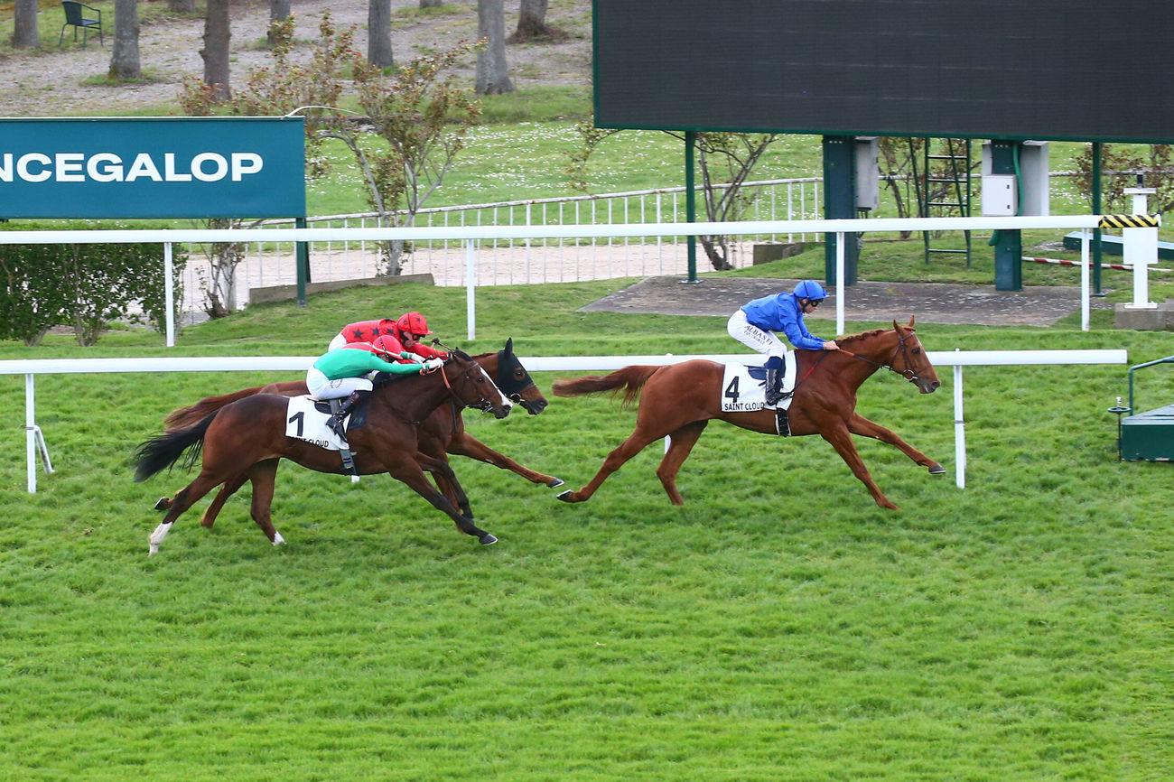 Tribalist devance The Revenant et Facteur Cheval