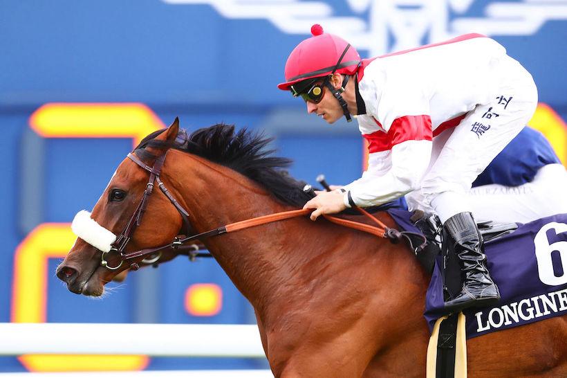 Allez France 23 India