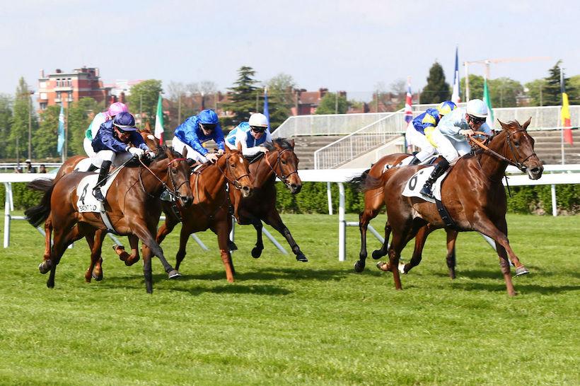 Cleopatre 23 Crown Princesse