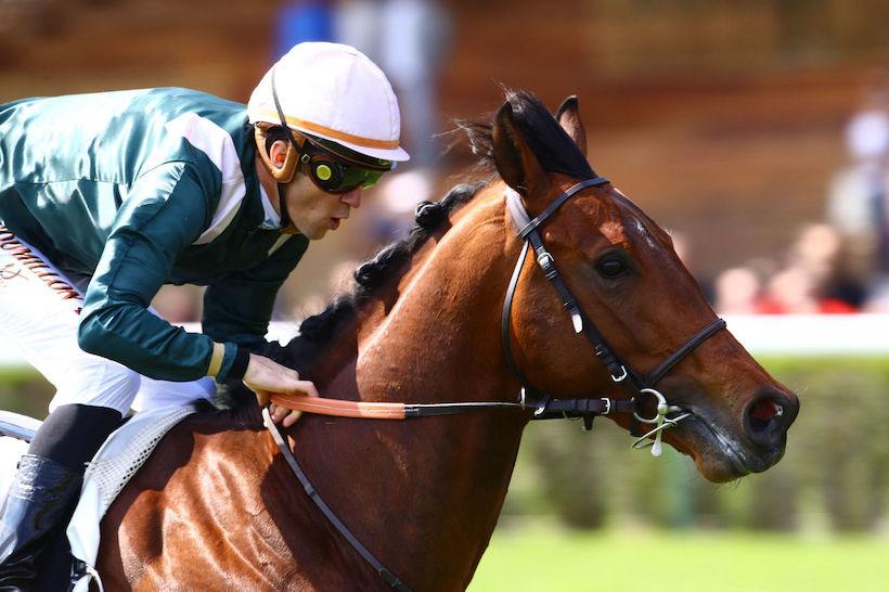 Juigné 23 Feed the Flame