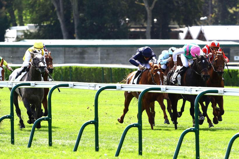 Noailles 23 Flight Leader