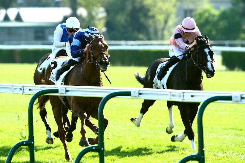 Harcourt 23 Simca Mille