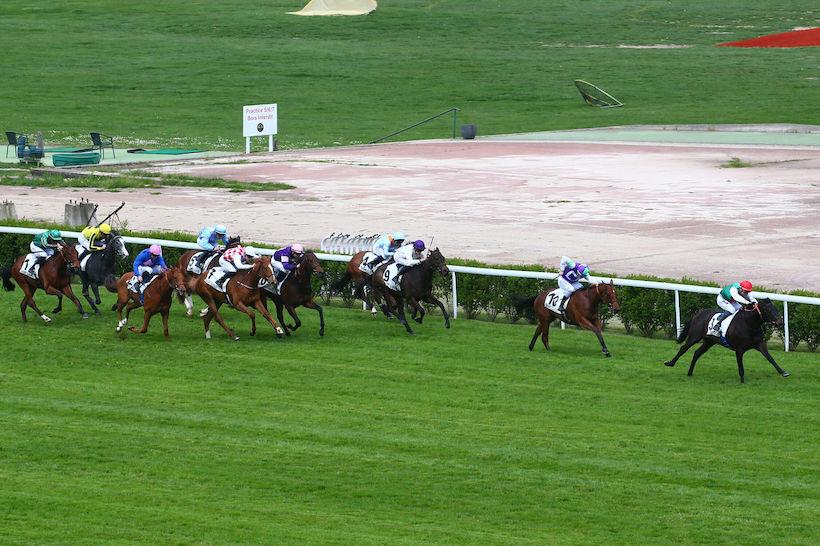 Grand Son of Calyx 23