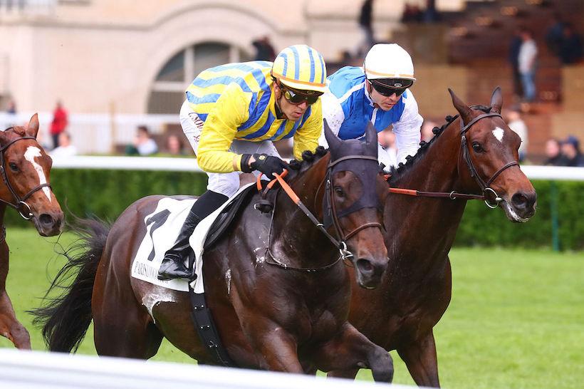 Hedouville 23 Haya Zark