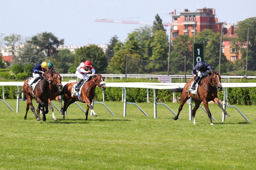 Corrida 23 Above the Curve