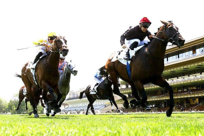 Palais Royal 23 Fort Payne