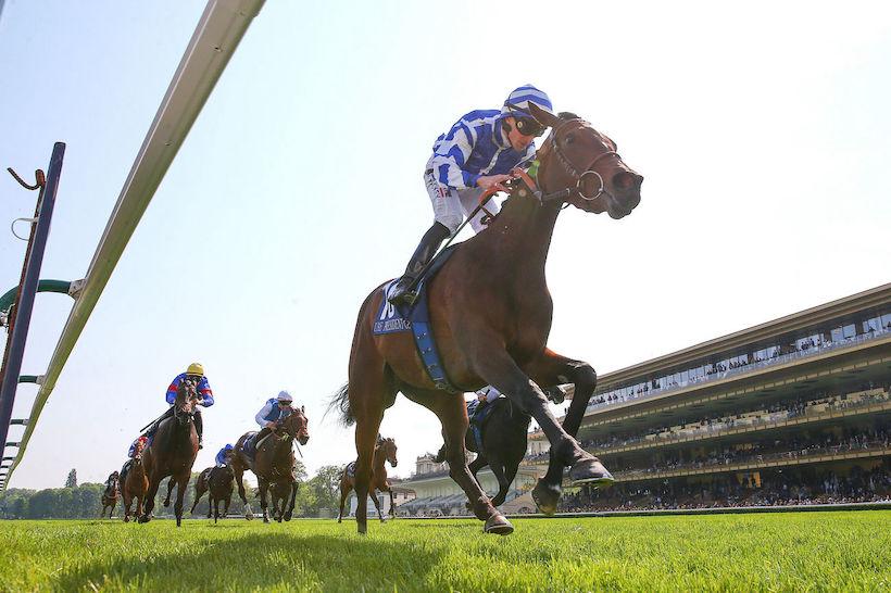 Pouliches 23 Blue Rose Cen