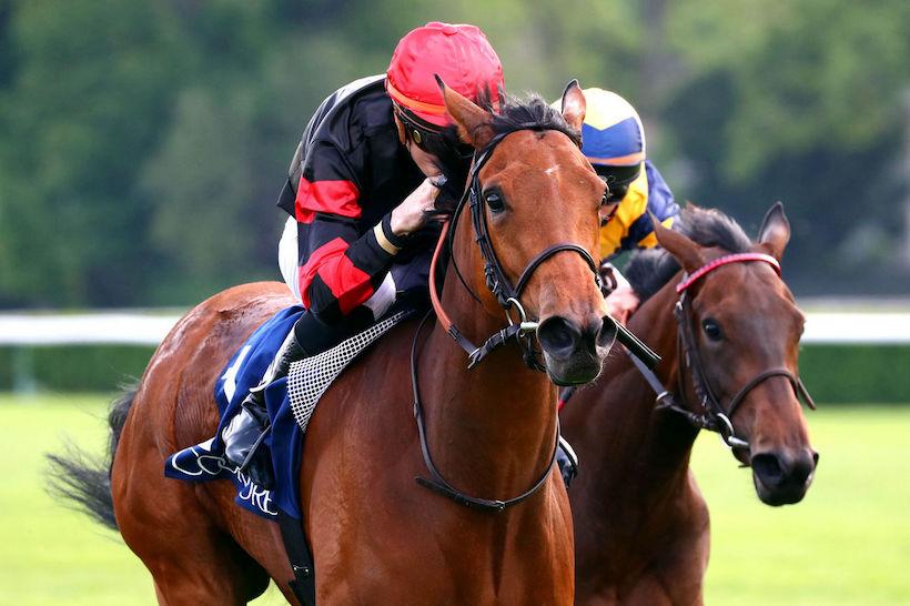 StAlary 23 Jannah Rose