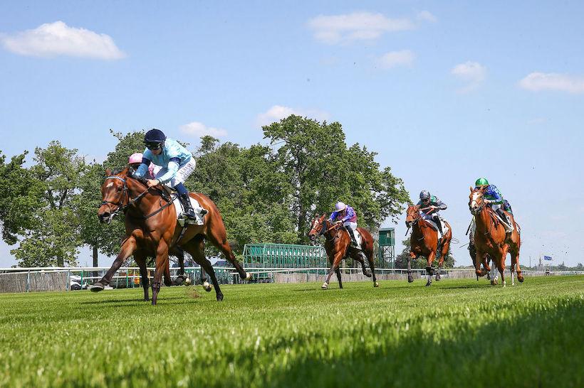 Texanita 23 Believing