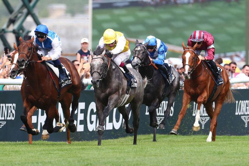 Lys 23 Rubis Vendome