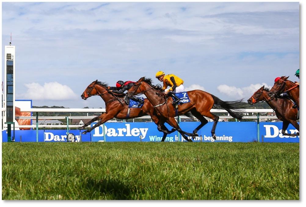 darley finish