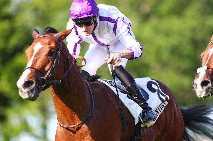 Gros Chene 23 Game Run