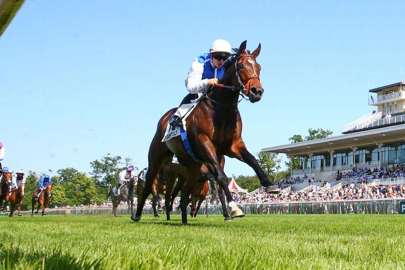 Sandringham 23 Kelina