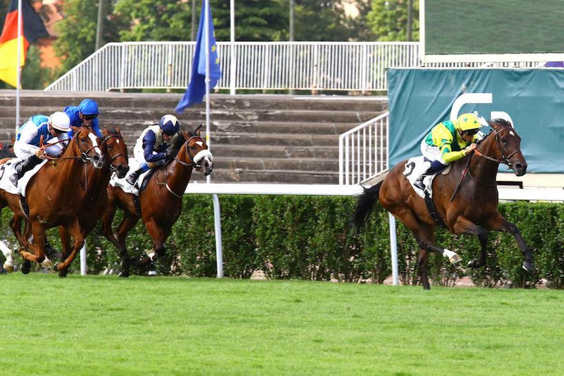 Eugene Adam 23 Horizon Dore