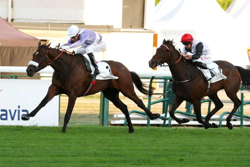 Malleret 23 Rue Boissonade