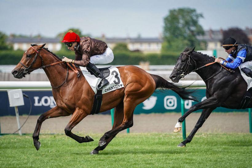 Messidor 23 Fast Raaj