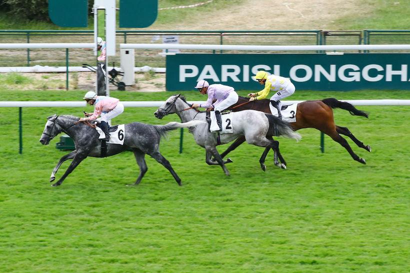 Maillot 23 King Gold