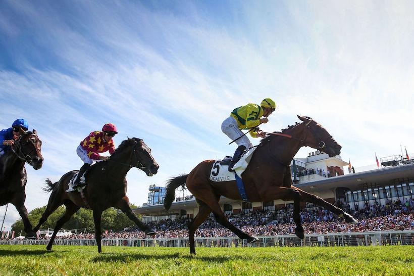 Ornano 23 Ace Impact