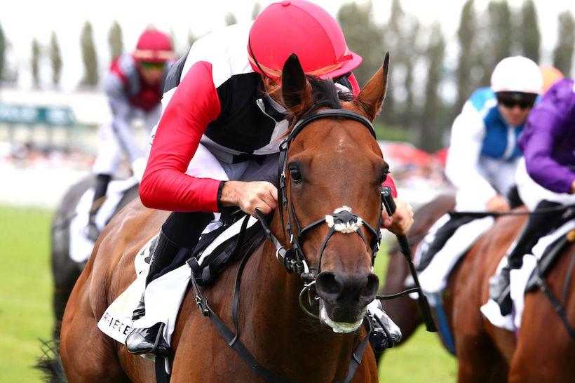 Quincey 23 Poker Face