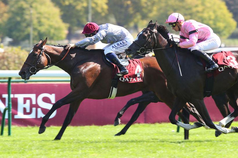 Foy 23 Place du Carrousel