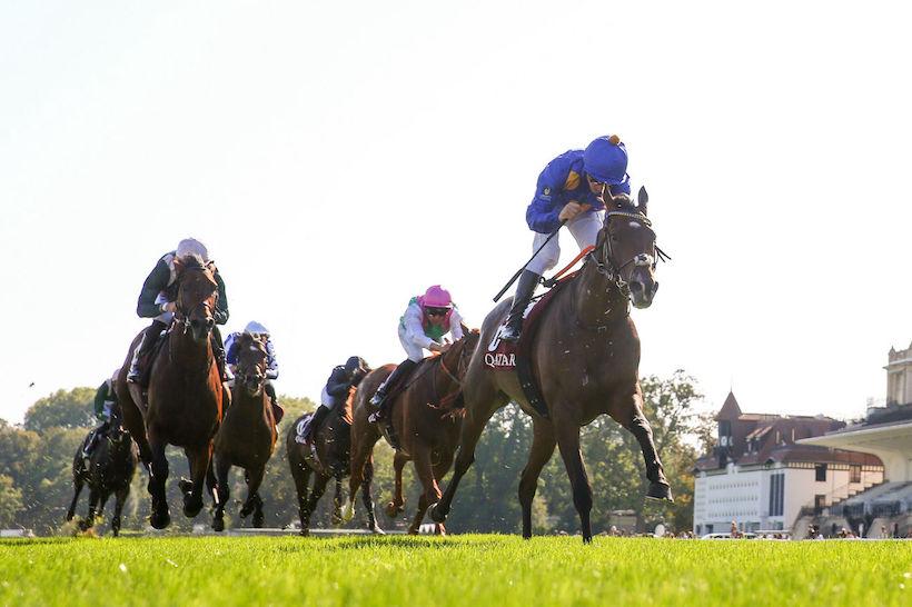 niel 23 fantastic moon