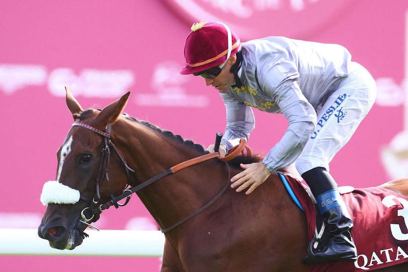 Qatar Juments 4 ans 23