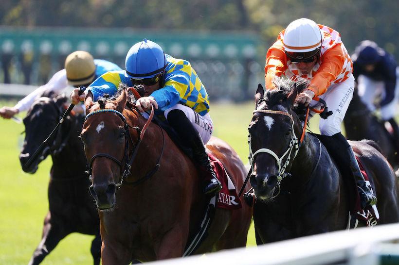 Petit Couvert 23 Coeur de Pierre