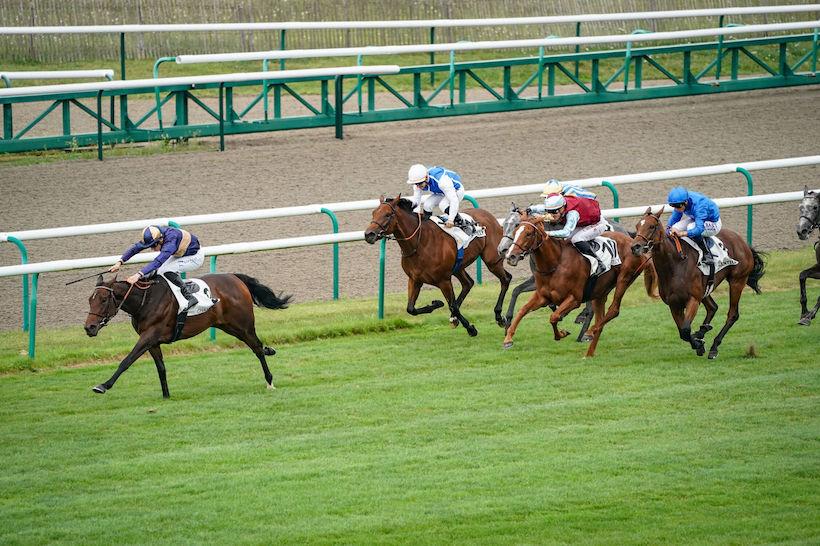 Tarragon 23 Immensitude