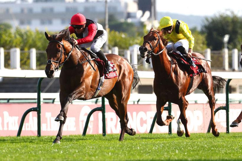 Wildenstein 23 Poker Face