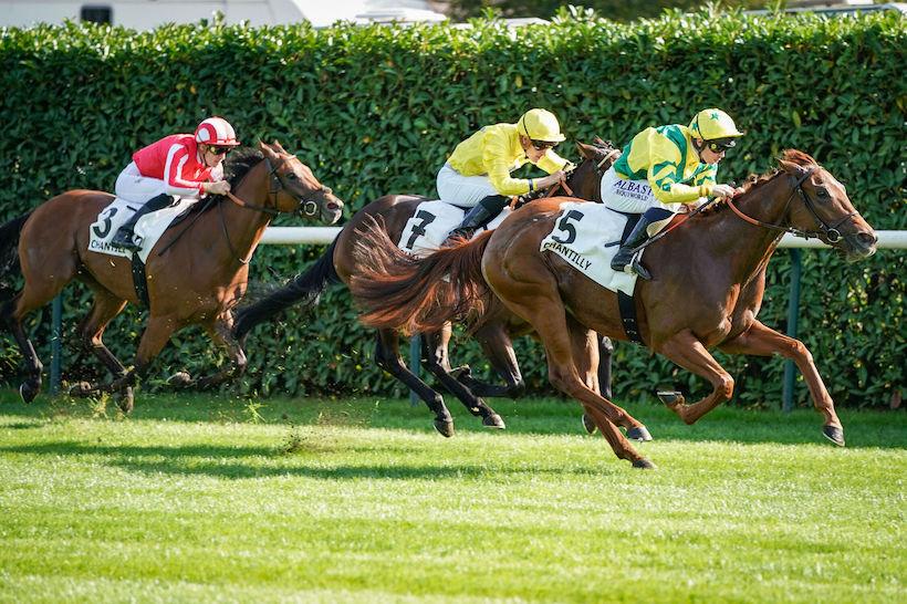 Critérium Maisons-Laffitte 23 Classic Flower