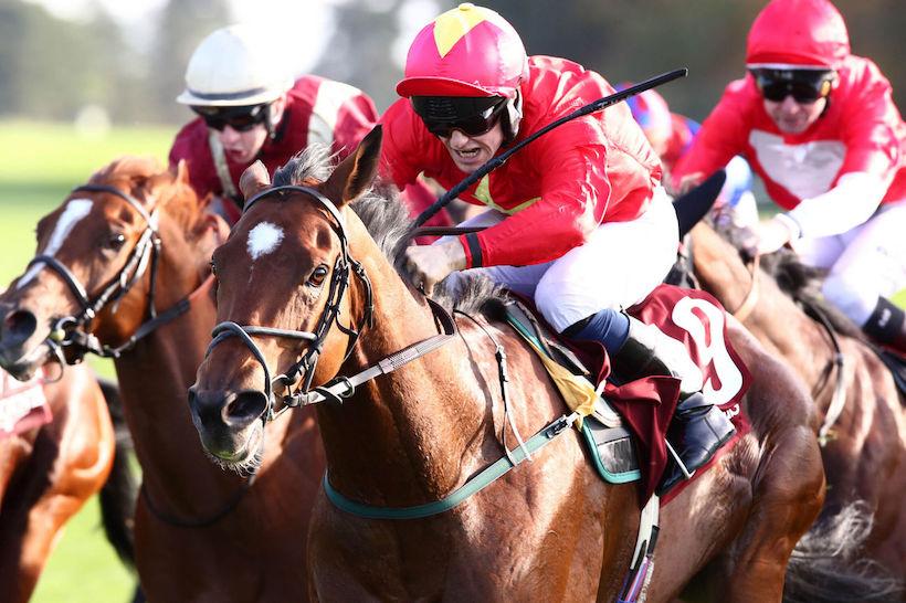 Abbaye 23 Highfiled Princess