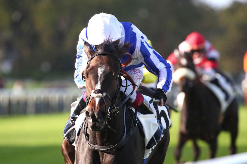 Belle de Nuit 23 Caius Chorister