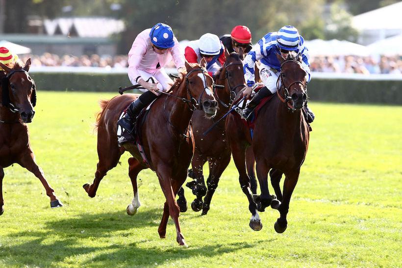 Opera 23 Blue Rose Cen