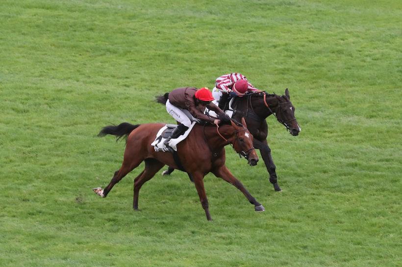 23 Orcada Juntos Ganamos