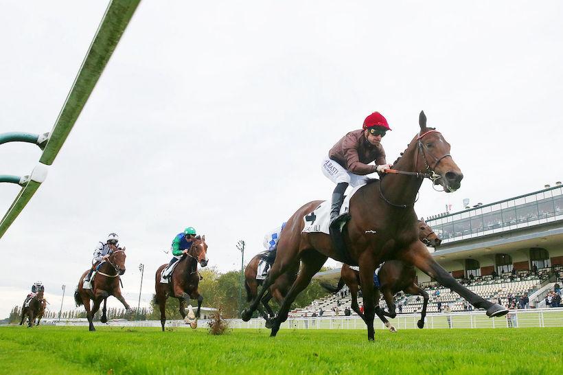 Reservoirs 23 Tulipa Chope