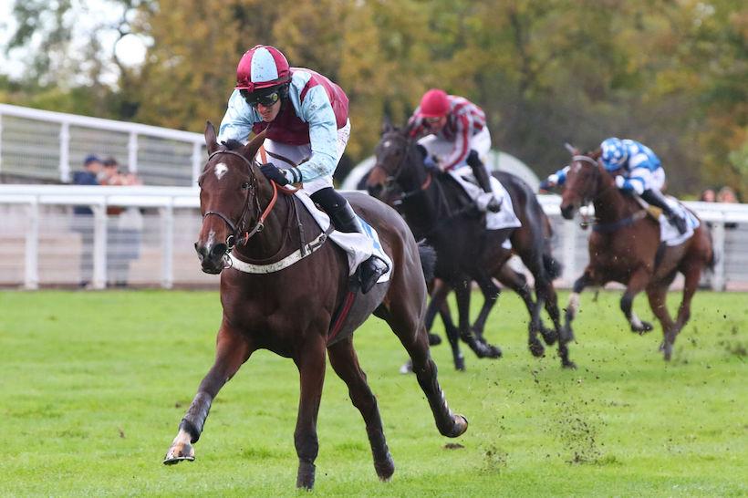 Bournosienne 23 Kamsinea