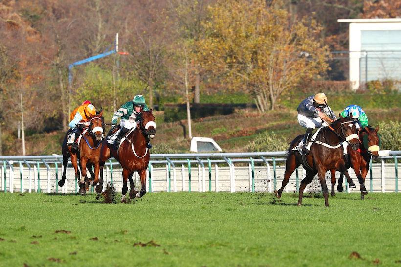 Georges Courtois 23 Gold Tweet