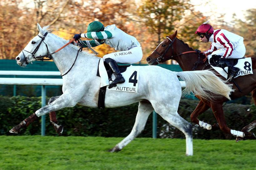 Olry-Roederer 23 True Tiger