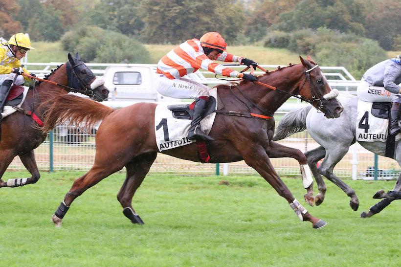 Marvel de Cerisy at Auteuil racecourse in September 2023.
