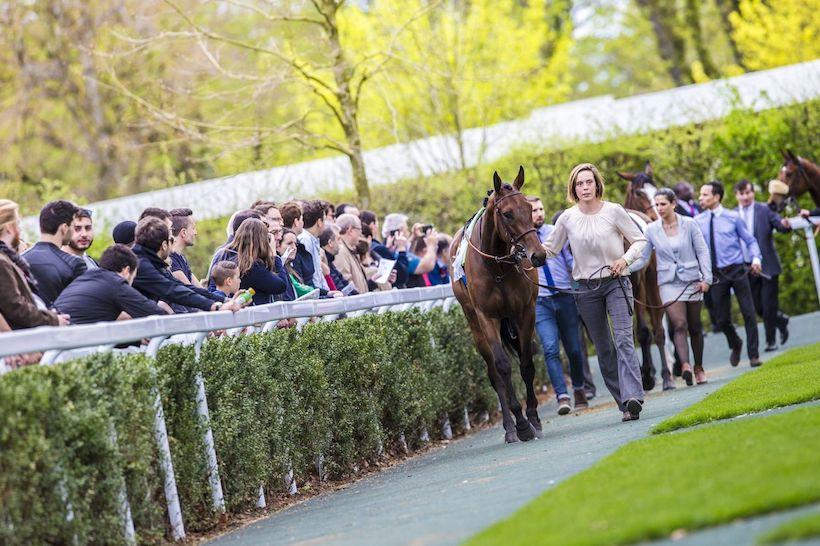 ambiance longchamp Rond de présentation